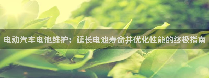 优发国际合并到哪里了啊