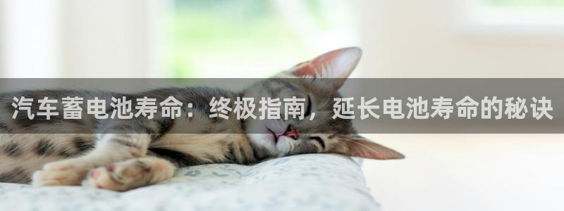 优发国际官方网手机版入口