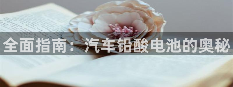 优发国际 干什么的