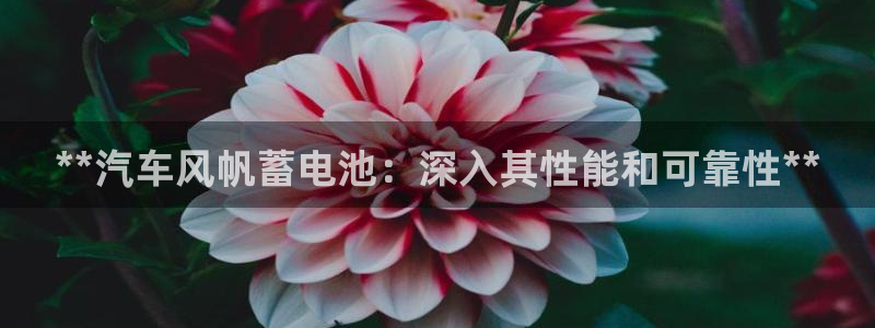 优发国际app