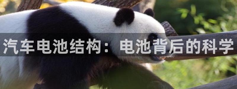 优发国际首页