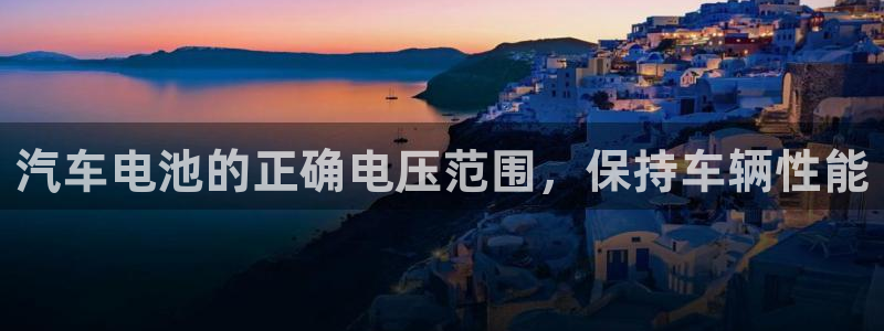 优发国际安卓版下载安装