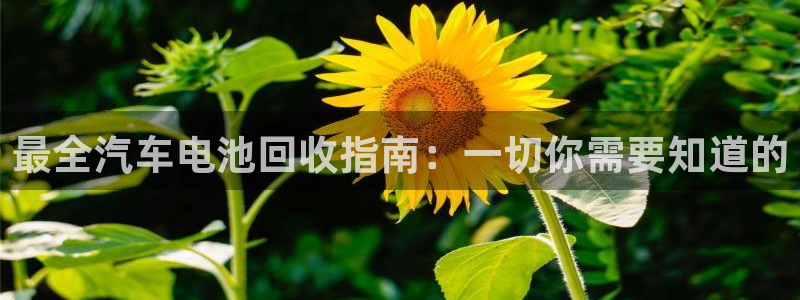 优发国际官网值是多少