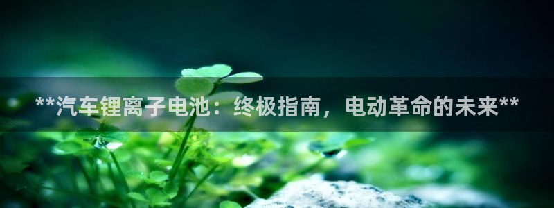 优发国际手机app下载安装最新版