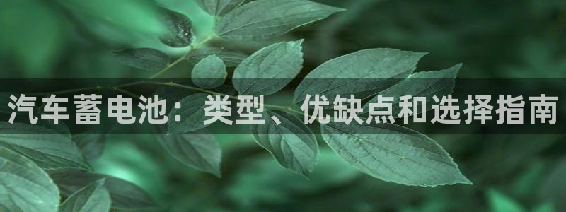 优发国际手机客户端app