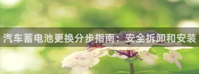 优发国际最新网站下载
