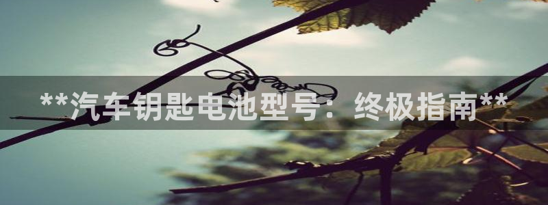 优发国际线上娱官网