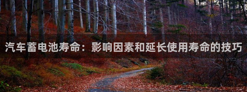 优发国际网官网17o8