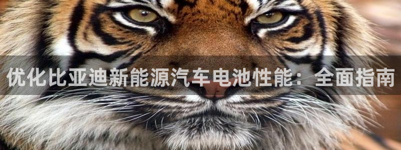 优发娱乐官网地址