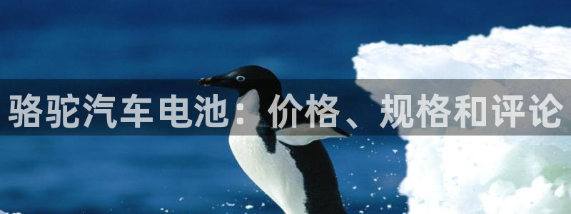 优发国际安卓版下载安装最新版