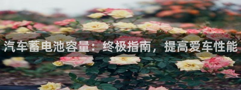 优发国际平台app下载苹果版