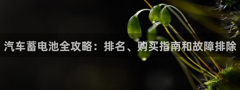 优发国际安卓版下载安装苹果