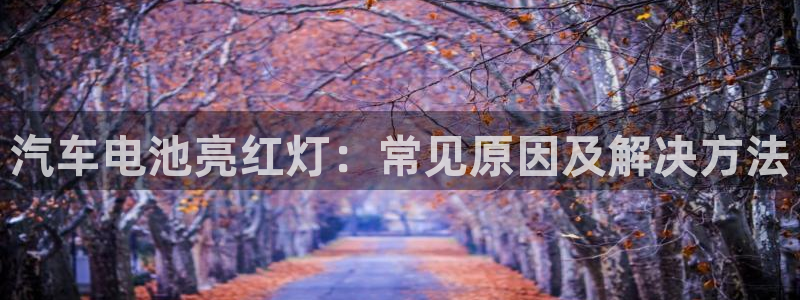 优发国际手机版网站官网