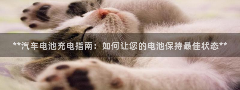 优发国际手机版网站官网