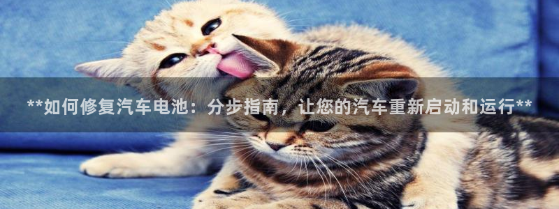 优发国际网站
