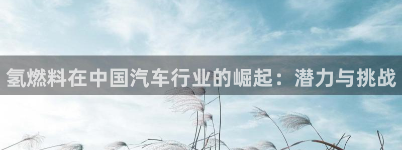 优发国际官方网手机版入口