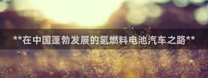 优发国际手机版唯一官网下载
