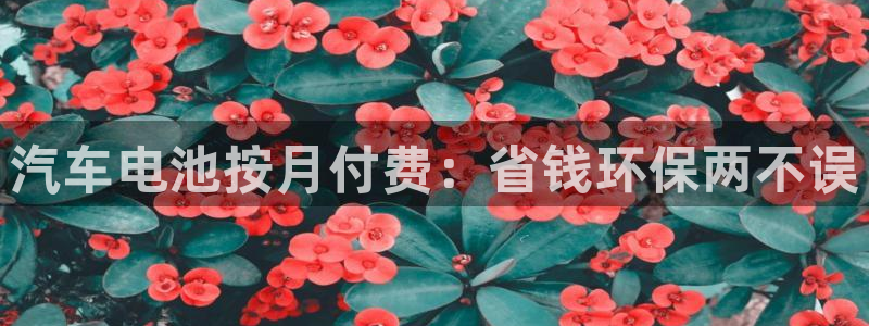 优发国际首页