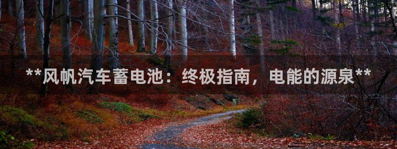 优发国际手机版官网