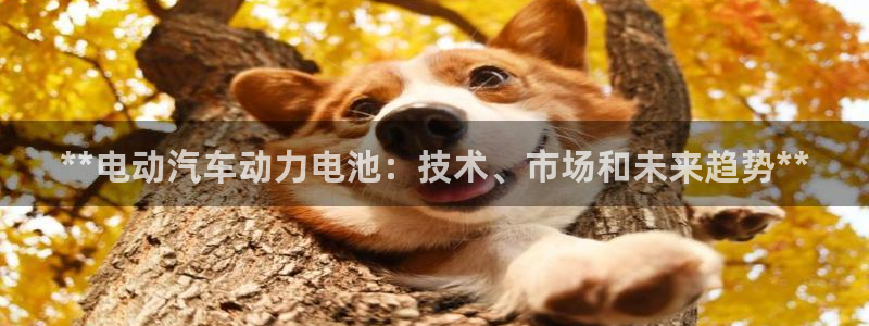 优发国际是大平台吗是真的吗