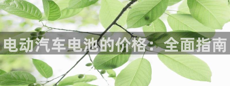 优发娱乐国际线上