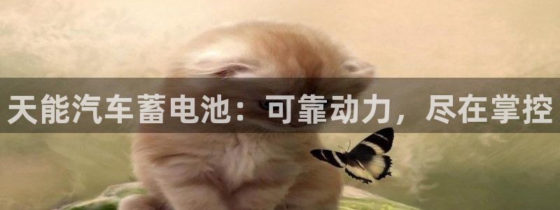 优发国际合并到哪里了最新消息