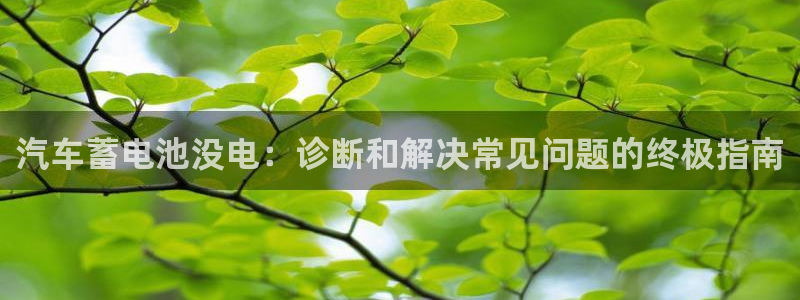 优发国际官方下载app