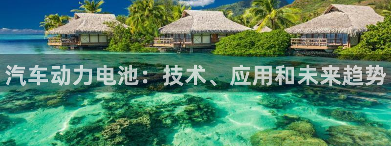 优发国际网站多少