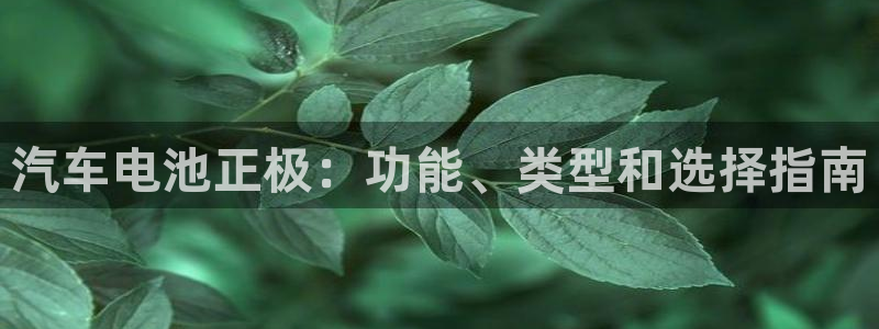 优发国际平台app下载苹果版