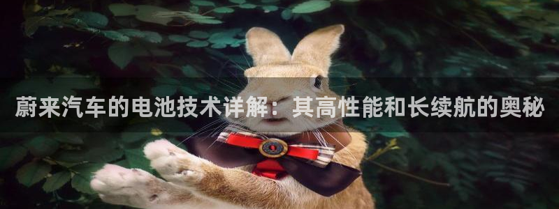 优发国际app登录不了