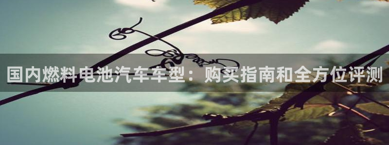 优发国际手机版下载官网