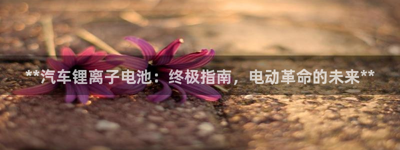 优发国际客服联系方式