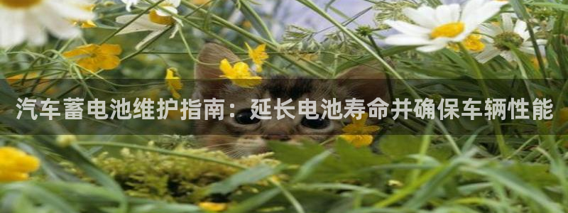 优发国际网站多少