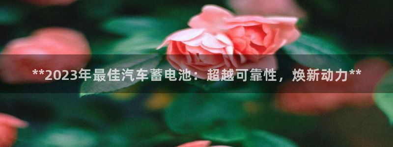优发国际手机版网站