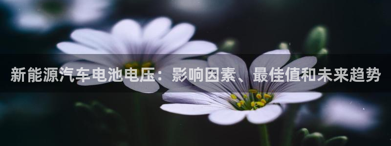 优发国际随优而动一触即发