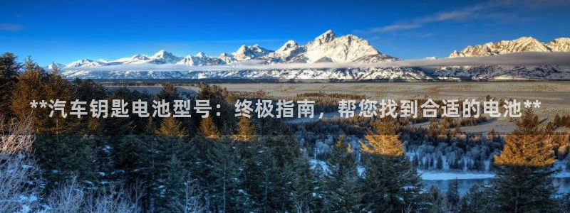 优发国际手机版下载