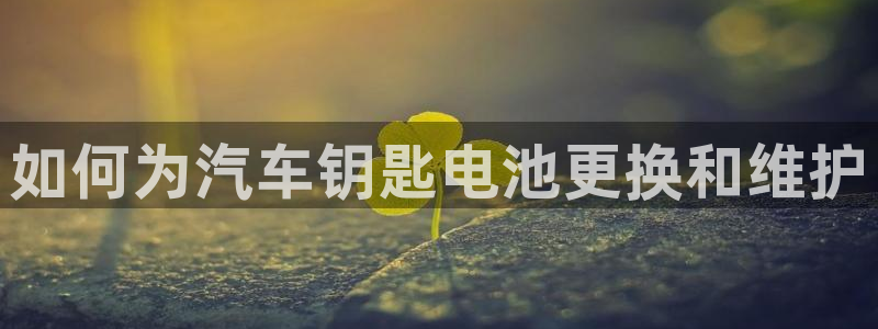 优发国际集团股份有限公司招聘