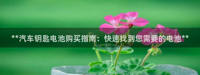优发国际首页