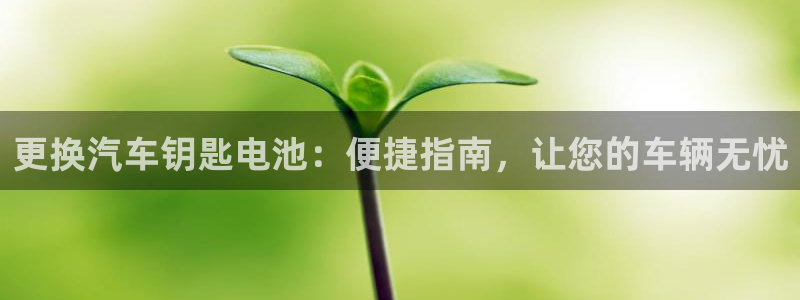优发国际不出款了吗