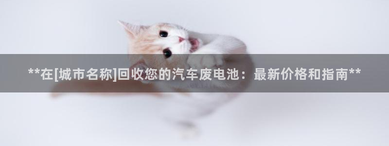优发国际手机版网站入口