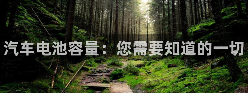 优发国际手机版网站官网