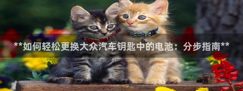 优发国际手机app下载安装苹果