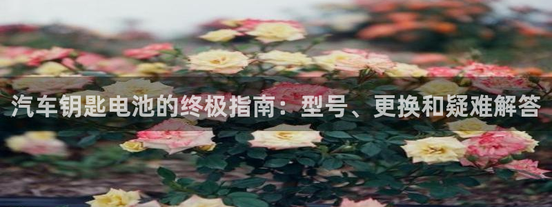 优发国际官网入口app下载苹果
