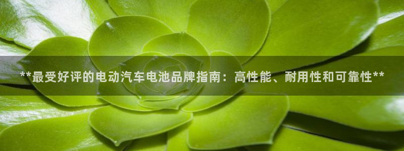 优发国际安卓版下载安装