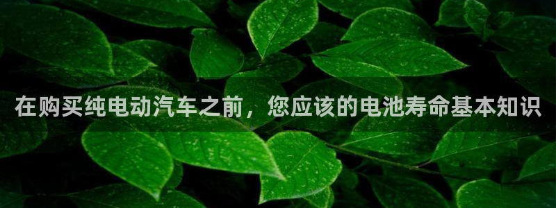 优发国际手机版网站官网