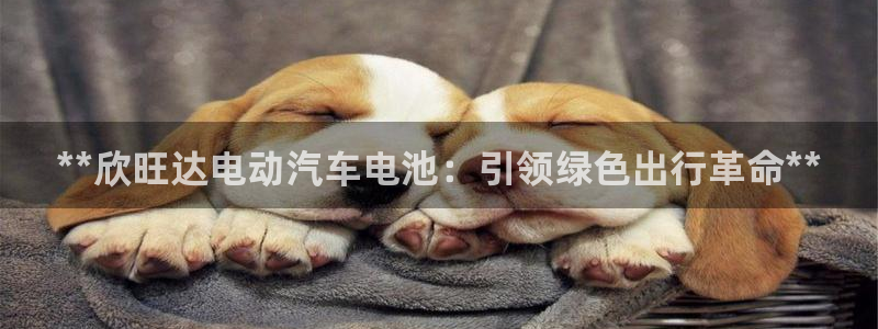 优发国际官网官方网址