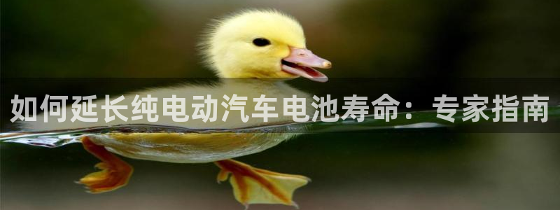 优发国际官网入口app下载