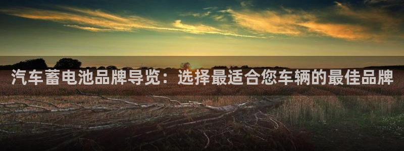 优发国际youfa