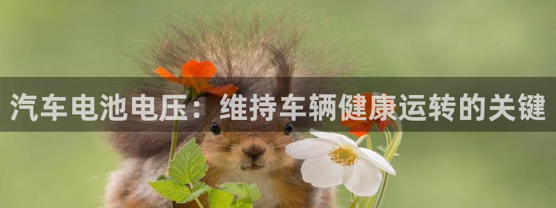 优发国际登录首页怎么设置