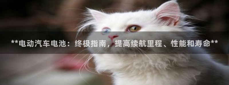优发国际最新网站下载